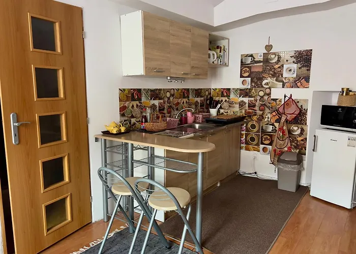 Apartment Ela Centre